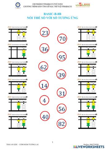 Basic-b-8b