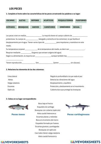 Repaso peces