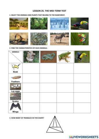 Lesson 25. mid-term test