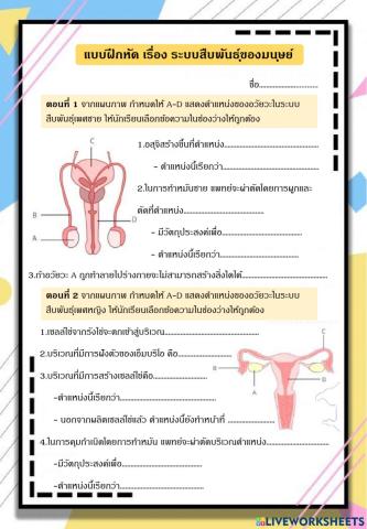 ระบบสืบพันธุ์ของมนุษย์