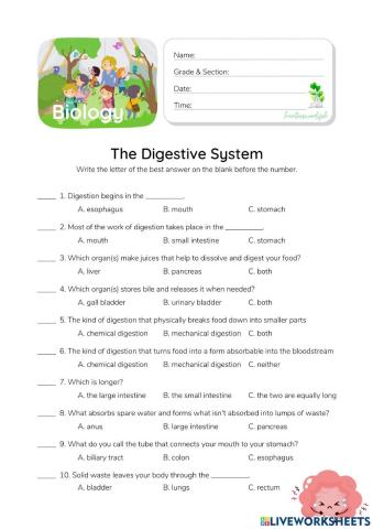 Digestive System - HunterWoodsPH.com Worksheet