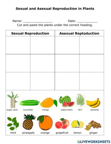 Sexual and Asexual Reproduction in Plants