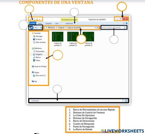 Componentes de una Ventana