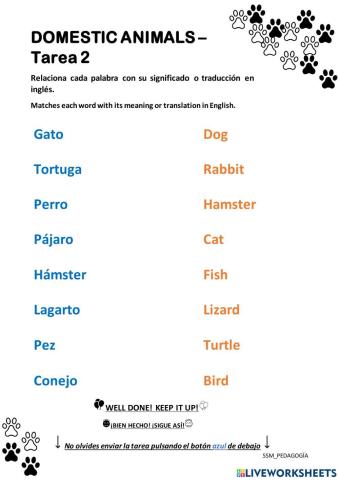 DOMESTIC ANIMALS - Tarea 2