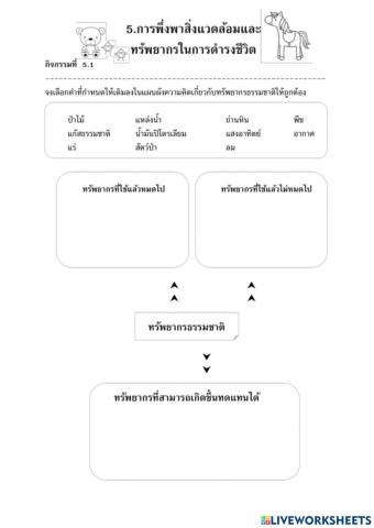 เรียน Online 64 เทอม 2 สังคม ป.3 ปีการศึกษา2564