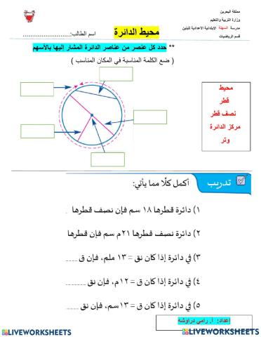 محيط الدائرة