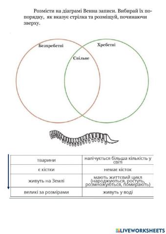 Тварини