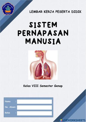 Sistem Pernapasan Manusia