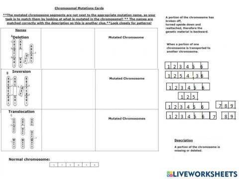 Chromosomal Mutations