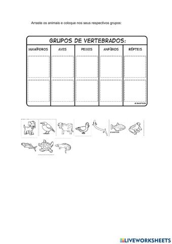 Animais Vertebrados