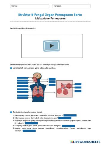 E-LKPD Sistem Respirasi