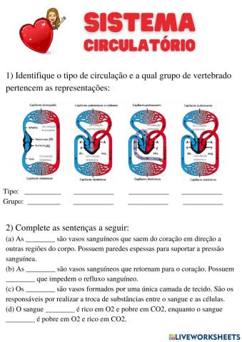 Sistema circulatório