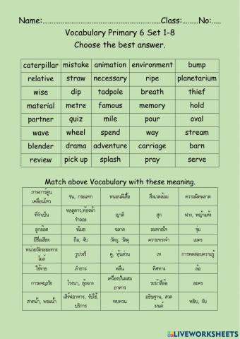 Vocabulary Primary6 Set1-8