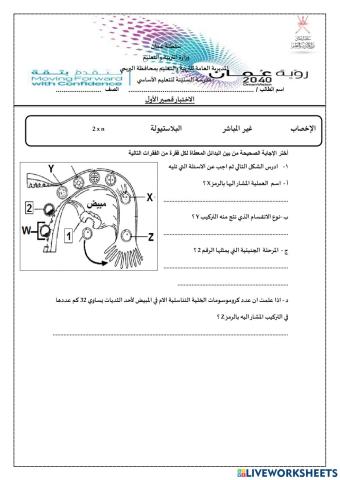 Biology ( أحياء )