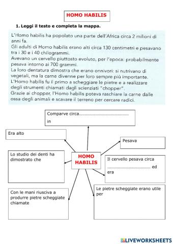 Homo habilis