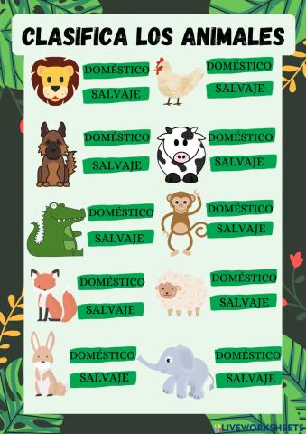 Clasificación de animales domésticos y salvajes