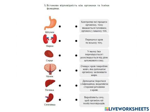 Людина та її здоров'я