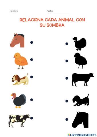 Animales y sombras