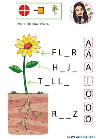 Partes de una planta