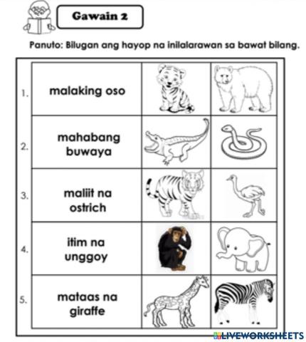 Paglalarawan sa mga Hayop sa Zoo