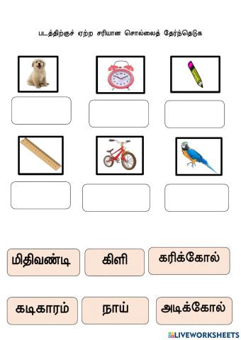 தமிழ்மொழி பயிற்சி 2