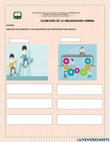 Elementos de organización formal