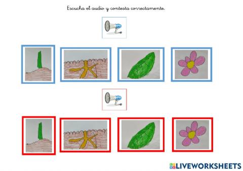 Partes de una planta