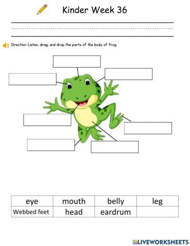 Kinder Summative Assessment Week 36