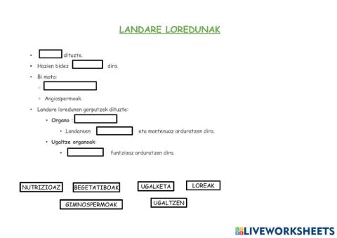 Landare loredunak