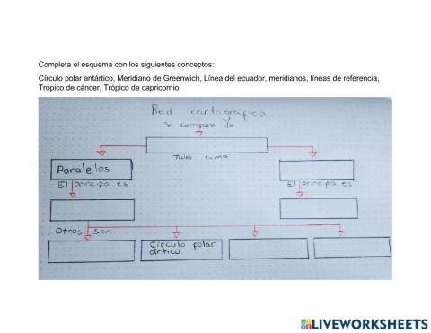 Líneas de referencia