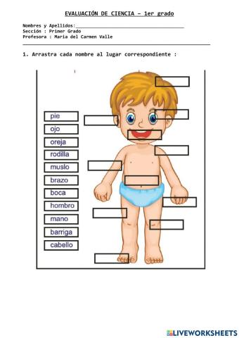 Evaluacion ciencia