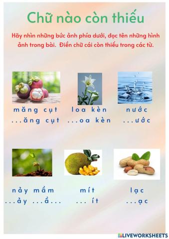 Chữ cái nào còn thiếu