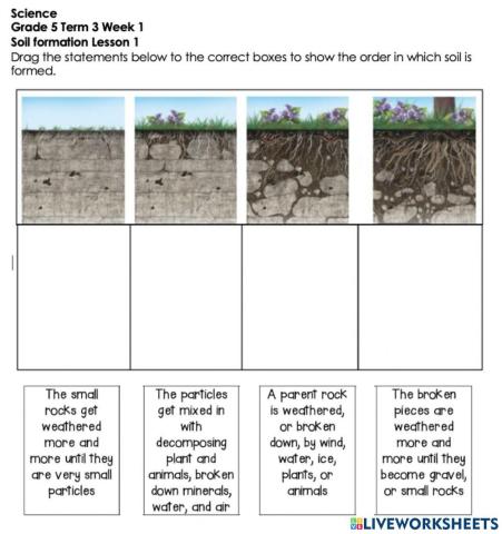 Soil formation