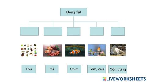 TNXH3: Động vật