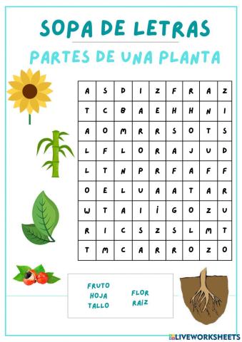 Sopa de letras partes de las plantas