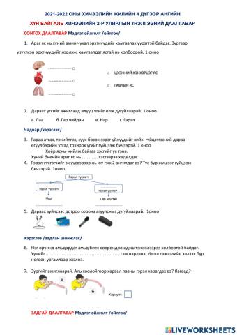 4-р ангийн Хүн байлгаль хичээлийн үнэлгээний хуудас