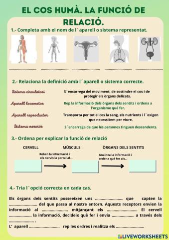 El cos humà. La funció de relació