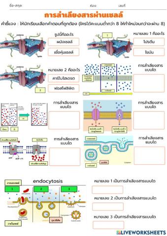 การลำเลียงสารผ่านเซลล์