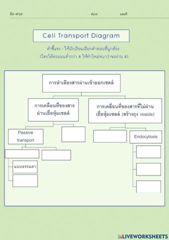 การลำเลียงสารผ่านเซลล์