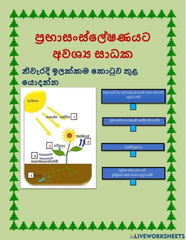 Factors need to photosynthesis