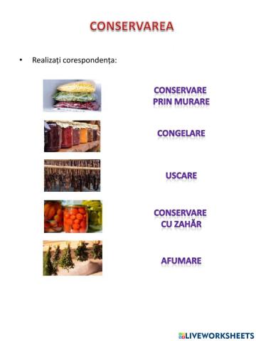 CONSERVAREA ALIMENTELOR