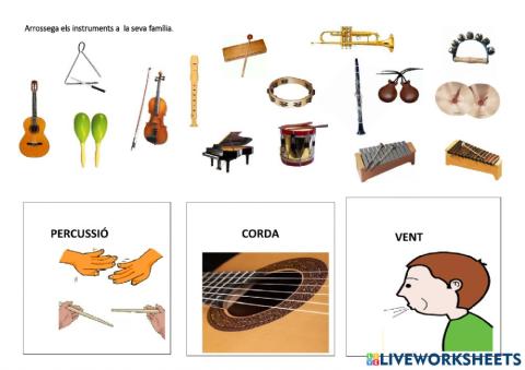 Families d'instruments
