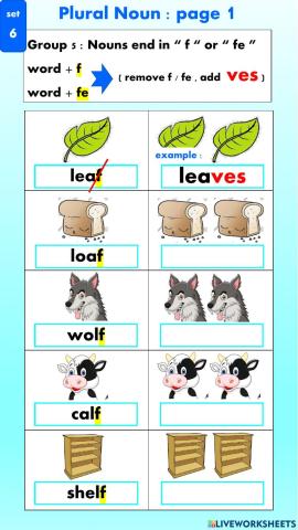 Plural Nouns