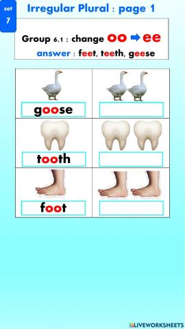 Plural Nouns