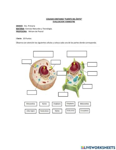 Evaluaciòn II Bimestre