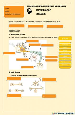 Lembar Kerja Sistem Saraf 1