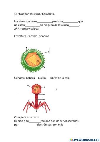 Los virus