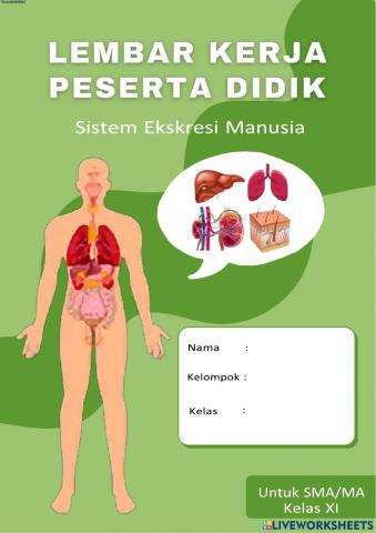 Lkpd sistem ekskresi eksperimen pertemuan 1