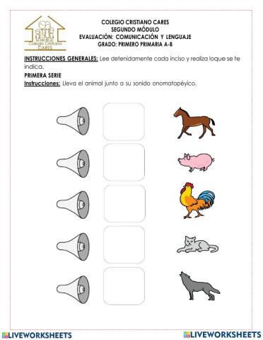 Evaluación Bloque 2