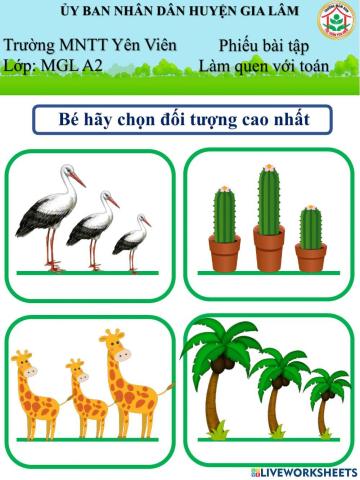 Bé chọn hình cao nhất